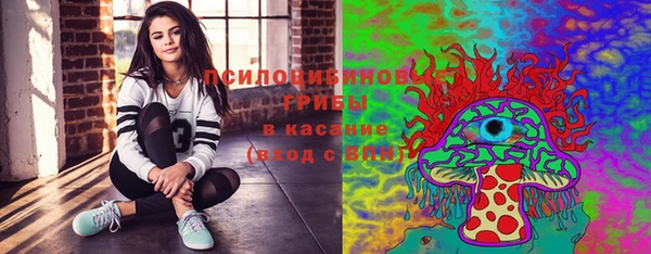 мяу мяу кристалл Алексин